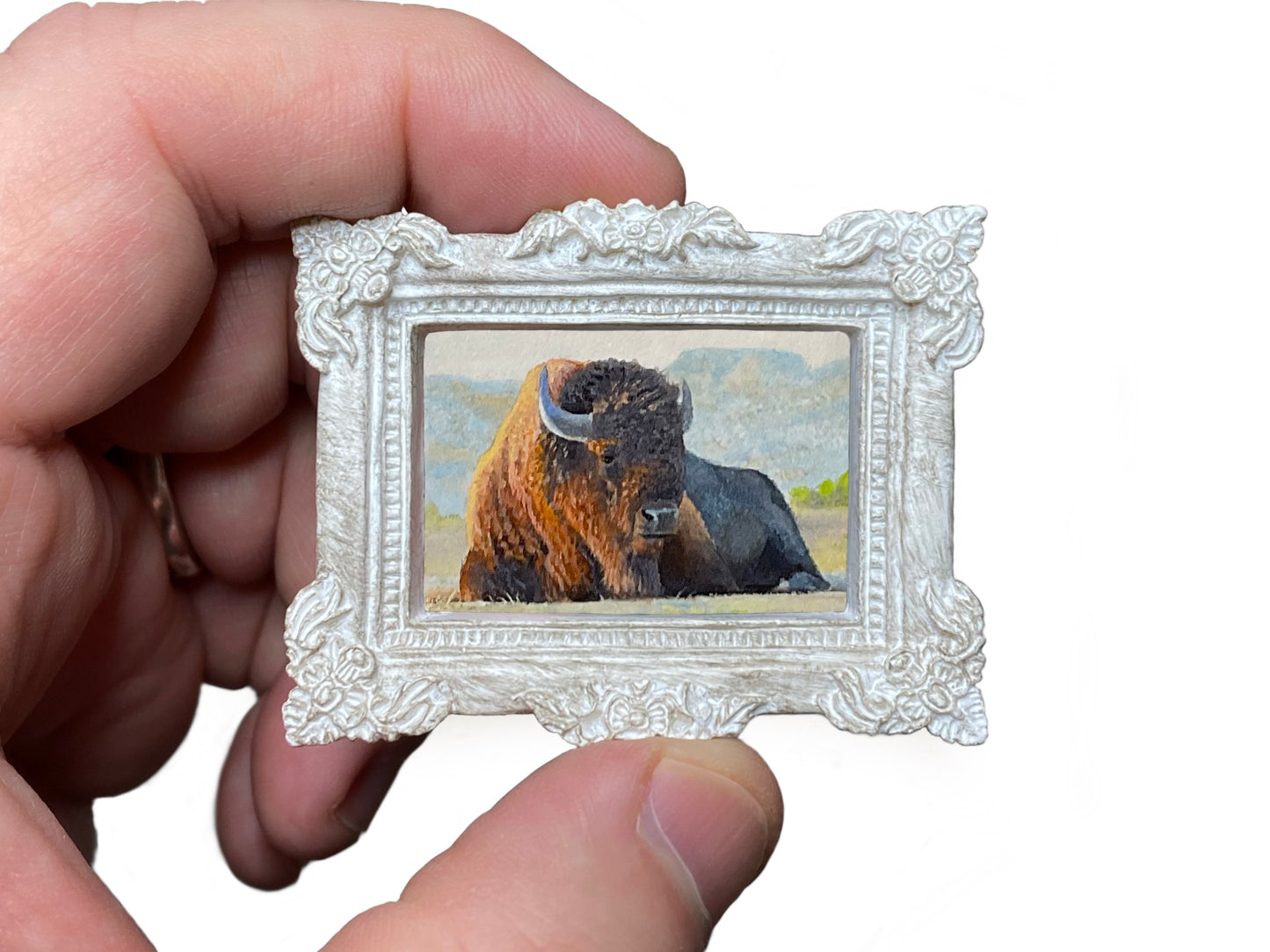Resting Buffalo