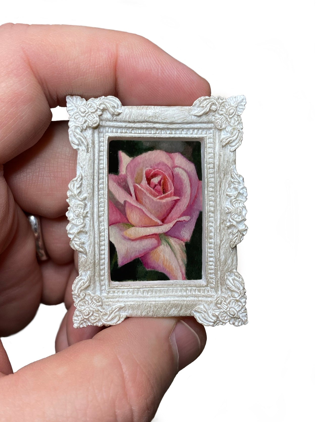 Rose #5