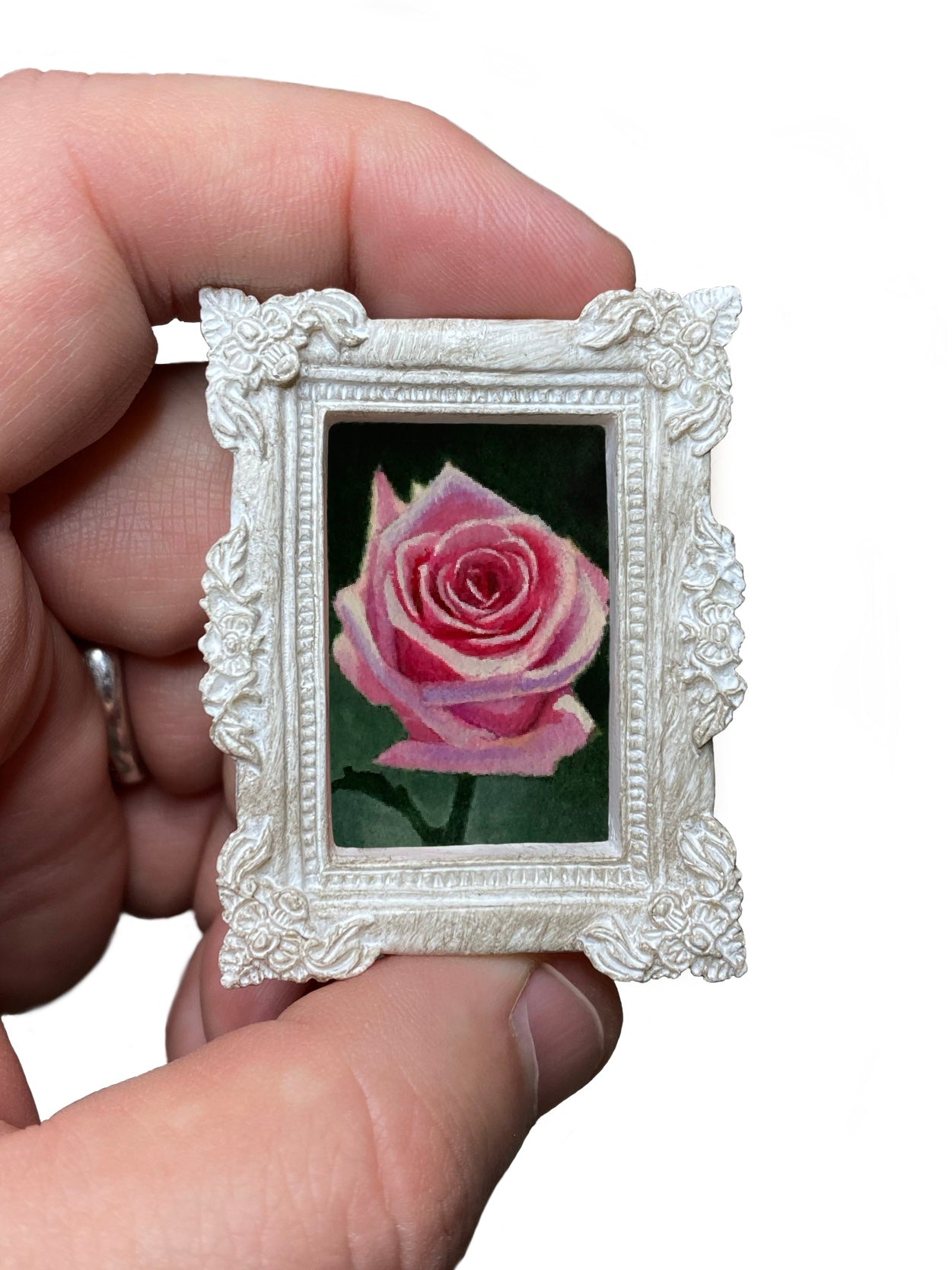 Rose #6